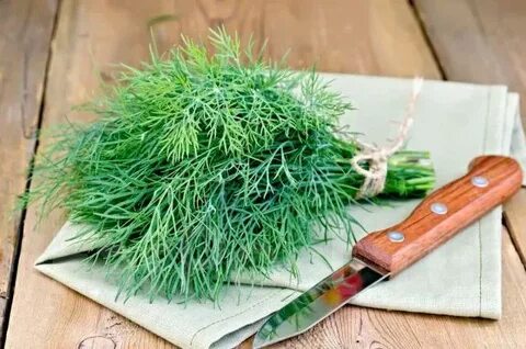 تصویر 1 از فروش سبزی شوید خشک سرگل با شرایط استثنایی
